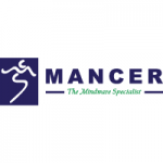 Mancer Consulting Services